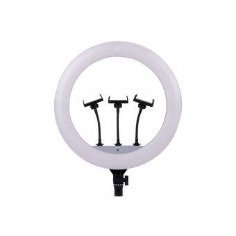 M45 Ring Light with stand